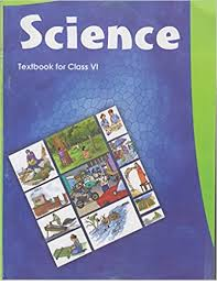 CLASS VI SCIENCE